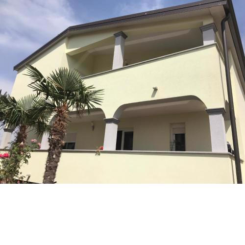 7 PALMI Novigrad