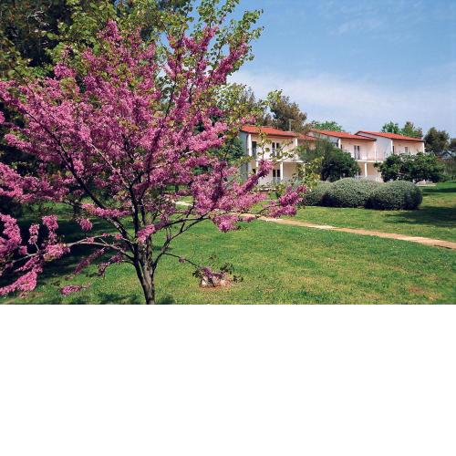 Ai Pini Medulin Resort