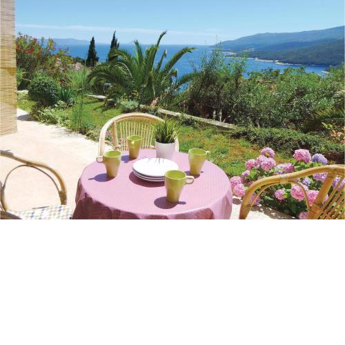 Amazing Apartment In Rabac With House Sea View