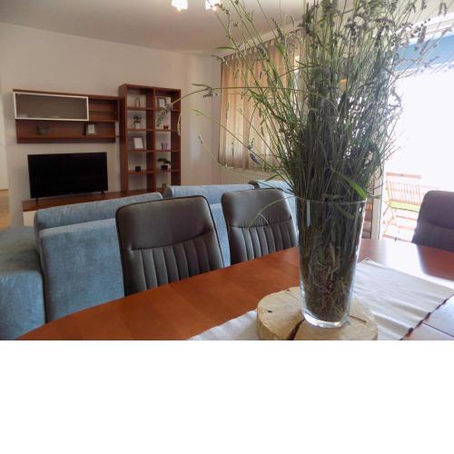 Apartman Borna