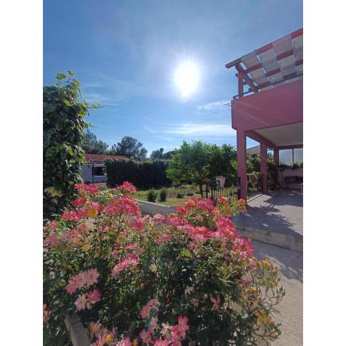 Apartman Brigita