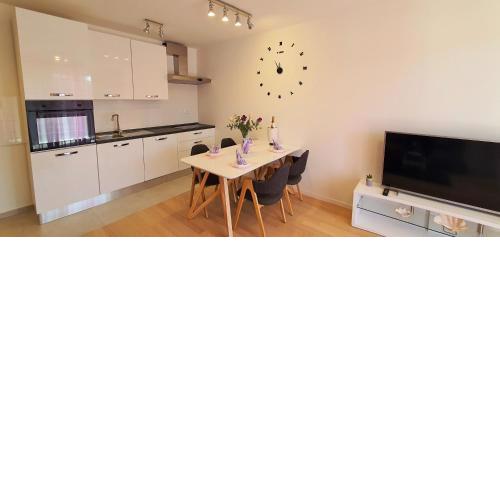 Apartman Galija 1