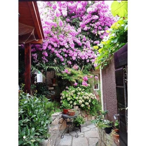 Apartman i Sobe Čule Cres