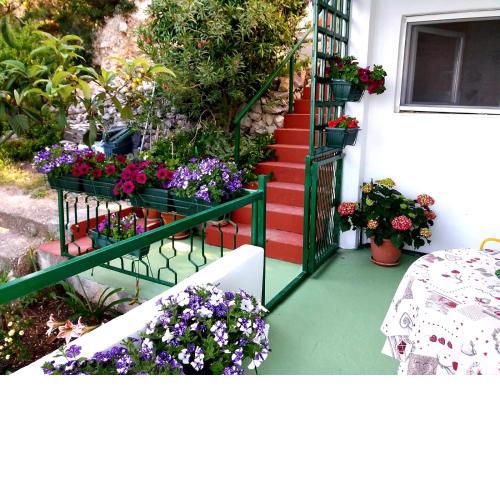 Apartman Kristin