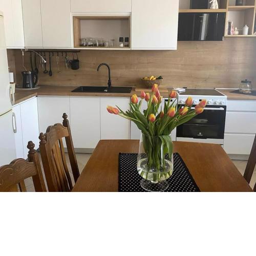 Apartman Milka