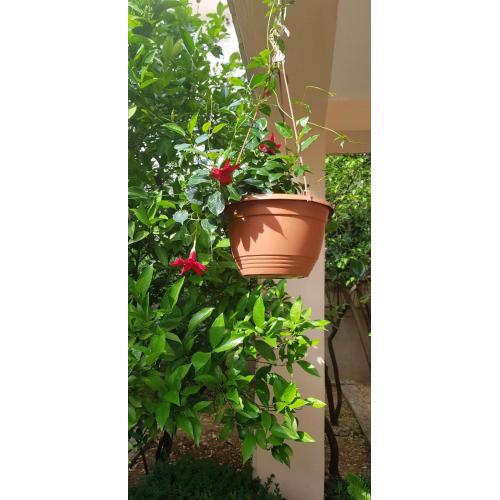 Apartman Nikolić 2