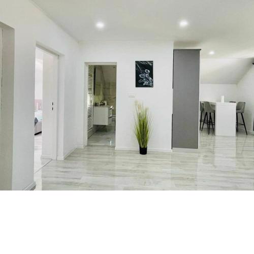 Apartman Pavenka