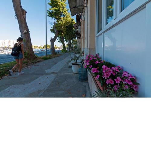 Apartman Pegla