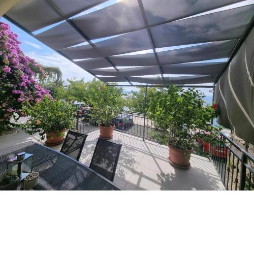 Apartman Ruža