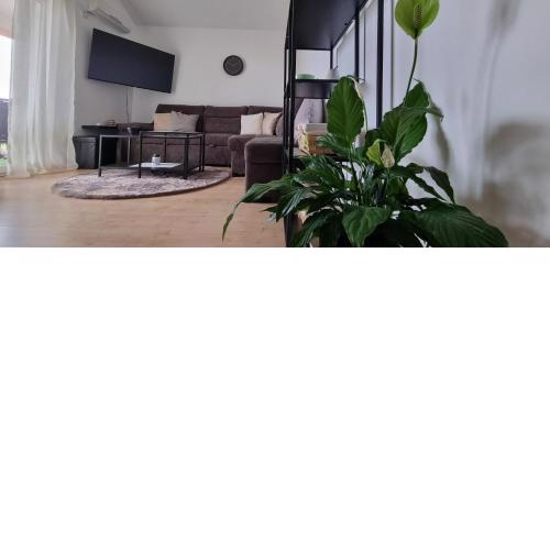 Apartman sa pogledom na more u Linardicima