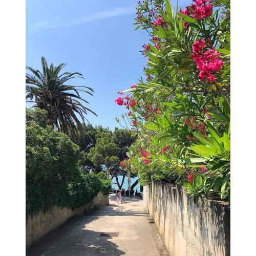 Apartman SARA GALILEO BLIZU PLAZE