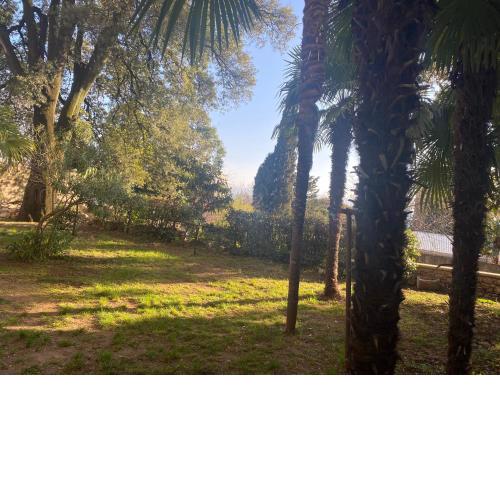 Apartman Tia