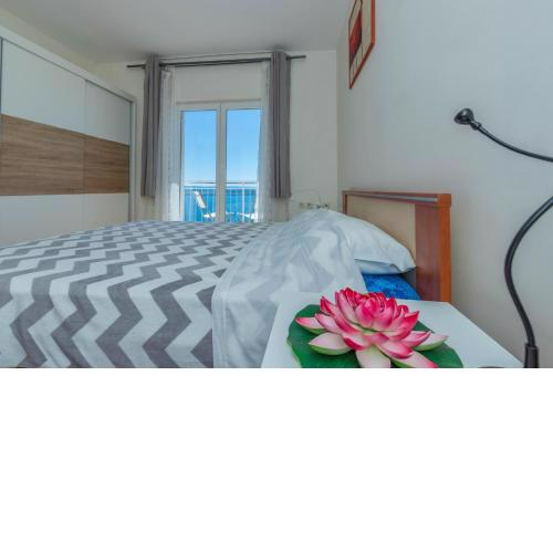 Apartman Zlatica
