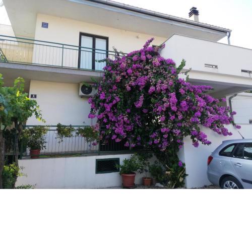 Apartmani Danica