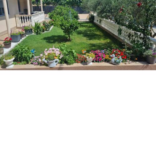 Apartmani Italo