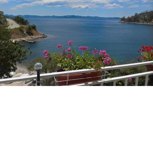 Apartmani Kunjasic