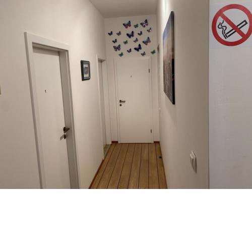 Apartmani Lučin