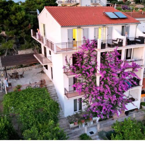 Apartmani Mladina