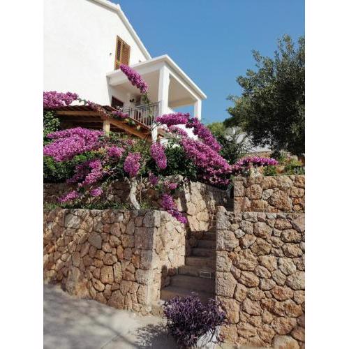 Apartmani Nila