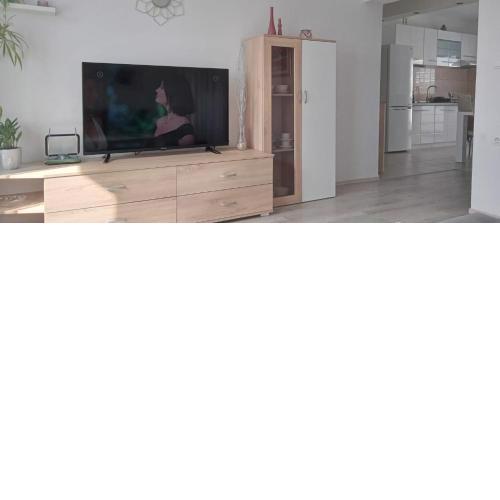 Apartment Biskupovic
