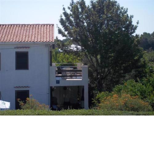 Apartment Branka