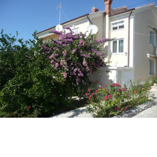 Apartment Dudic