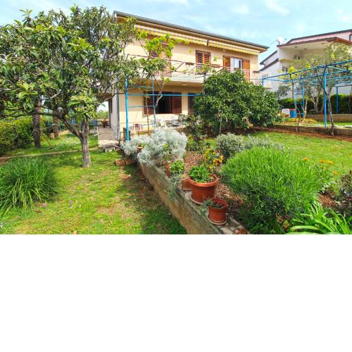 Apartment Giovanna 1557