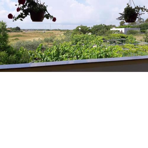 Apartment in Nin with Terrace, Air conditioning, Wi-Fi (3722-1)