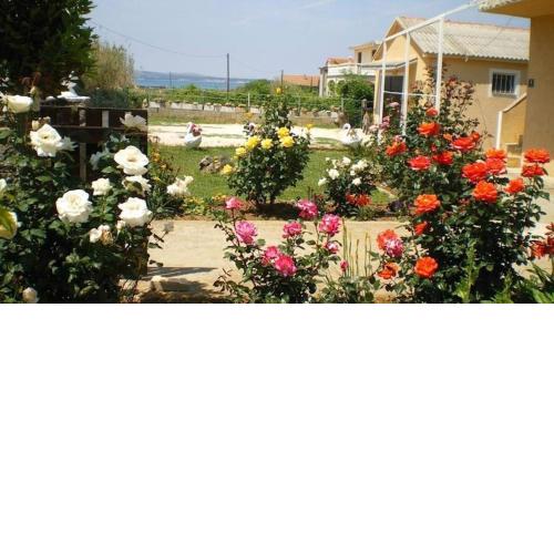 Apartment in Privlaka with sea view, balcony, air conditioning, W-LAN 667-3
