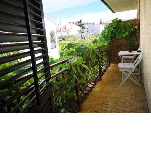 Apartment Maximilian #2