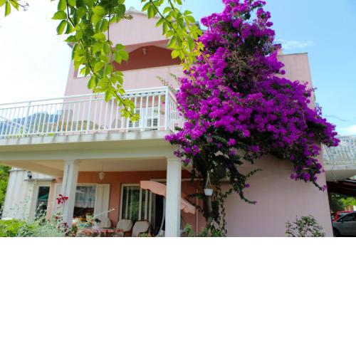 Apartment Mrgudic