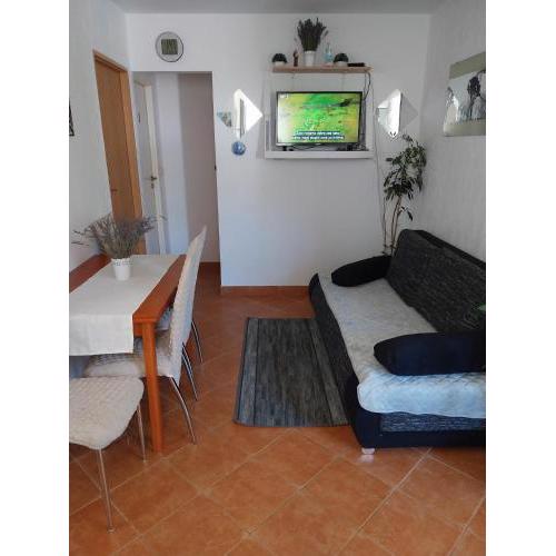 Apartment Oaza