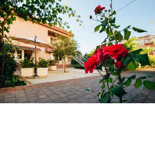 Apartment Relja