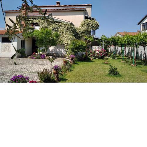 Apartment Sasa Bozac