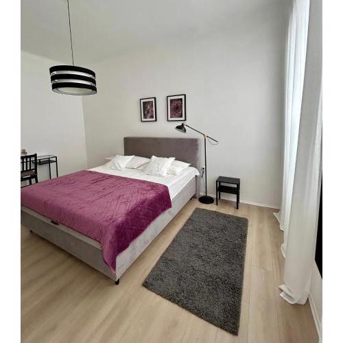 Apartment Tanjica
