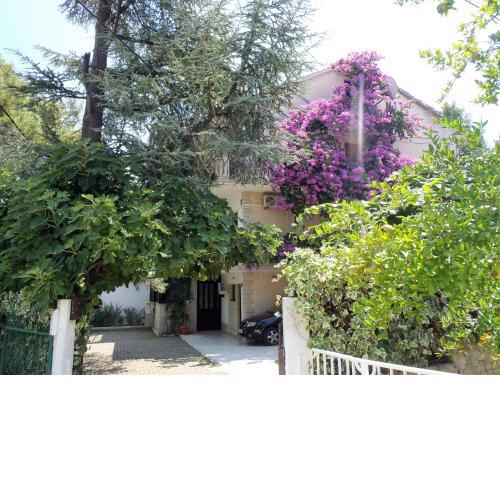 Apartment Villa Iskra