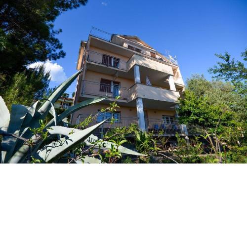 Apartment Visnja