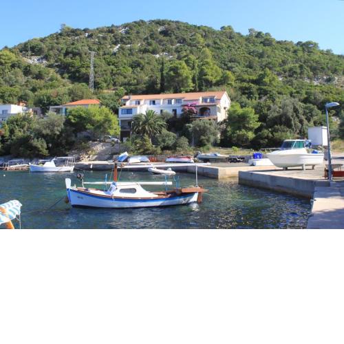 Apartments and rooms by the sea Zaklopatica, Lastovo - 8339