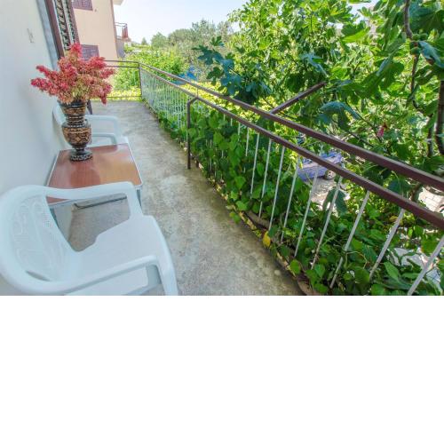 Apartments Bozjidar
