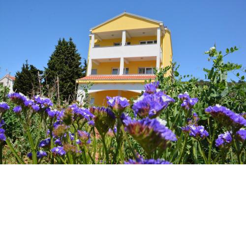 Apartments Buturi