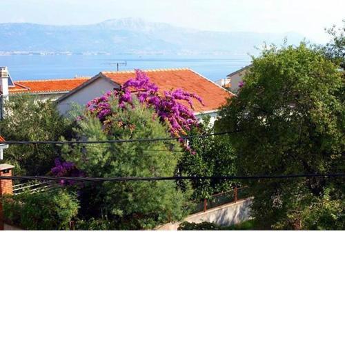 Apartments by the sea Arbanija, Ciovo - 6062