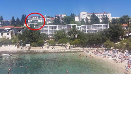 Apartments by the sea Hvar - 13041