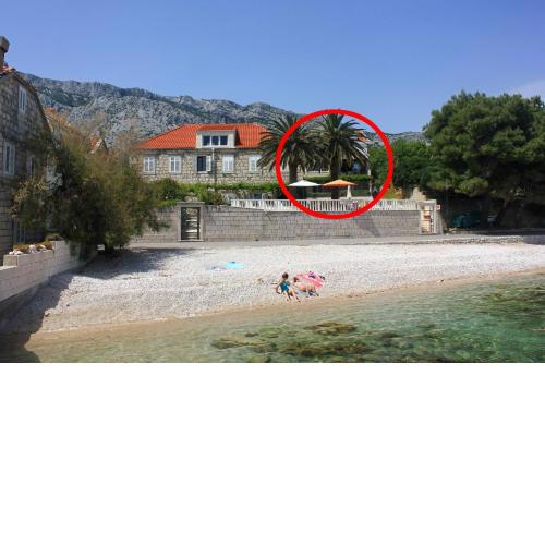Apartments by the sea Orebic, Peljesac - 2130