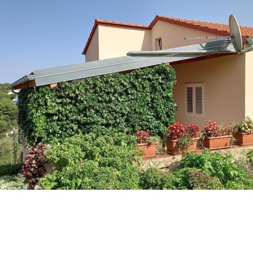 Apartments by the sea Sali, Dugi otok - 8117