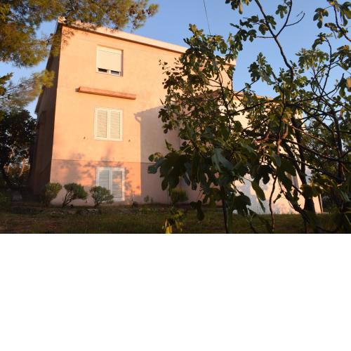 Apartments by the sea Starigrad, Paklenica - 17865