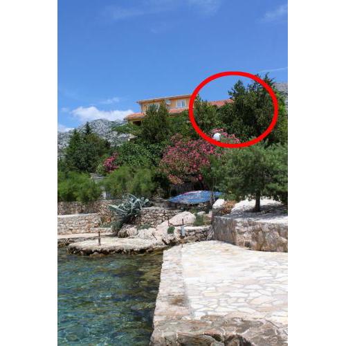Apartments by the sea Starigrad, Paklenica - 6592