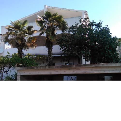 Apartments by the sea Tisno, Murter - 814