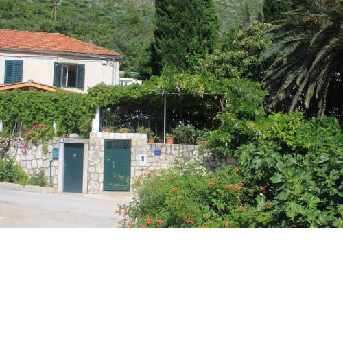 Apartments by the sea Zaton Mali (Dubrovnik) - 9049