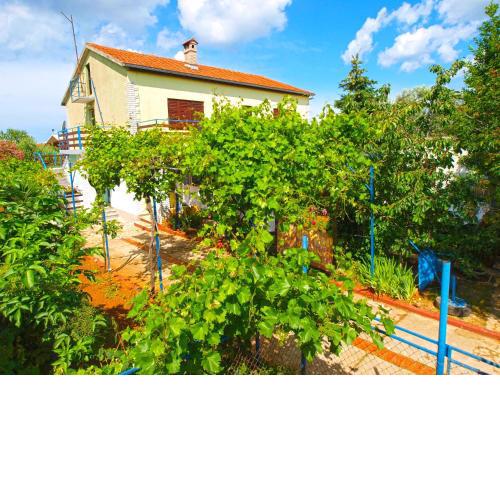Apartments Desanka 972