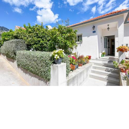 Apartments Goga